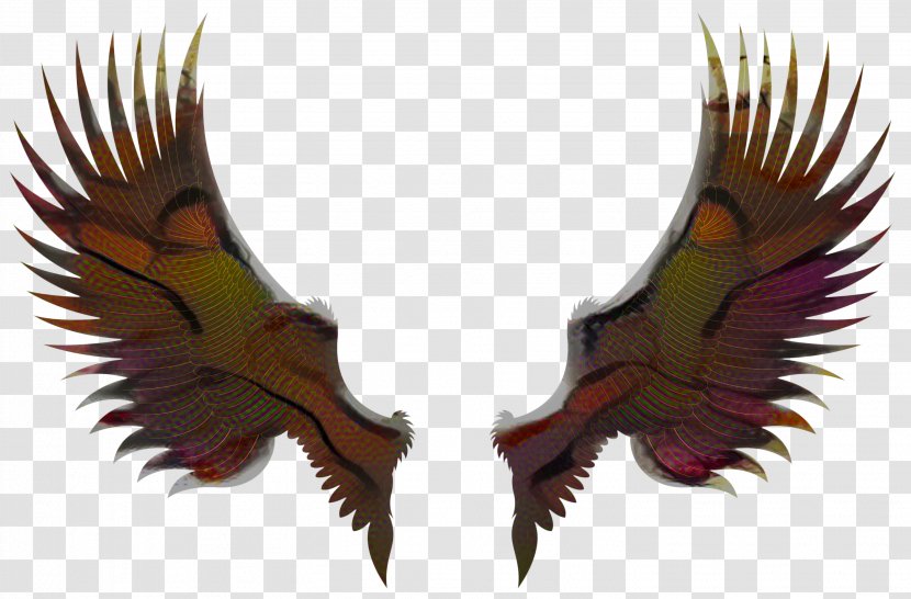 Eagle Logo - Silhouette - Beak Bird Transparent PNG
