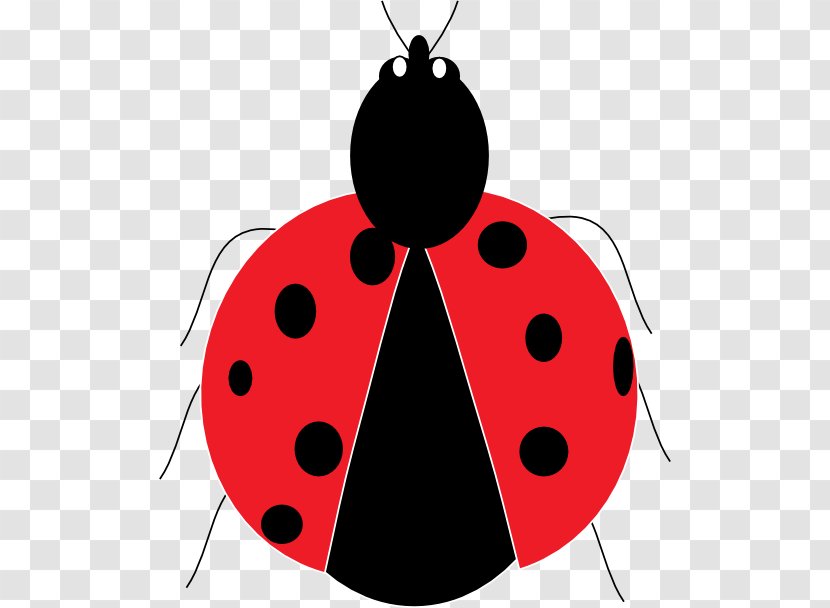 Ladybird Beetle Drawing Clip Art - Home Page Transparent PNG