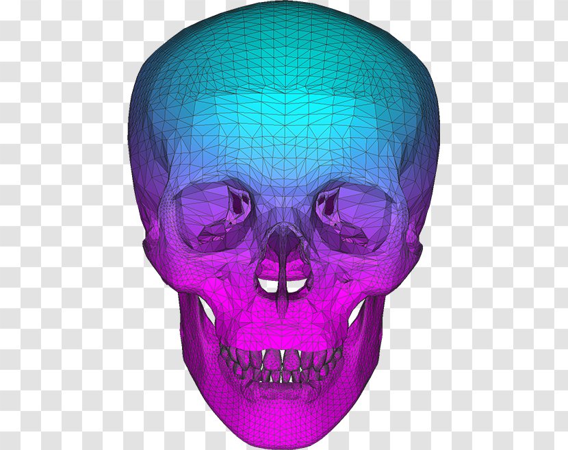 Hi! I'm Tanya! Skull Blog Purple CMYK Color Model - Magenta - Russian Transparent PNG
