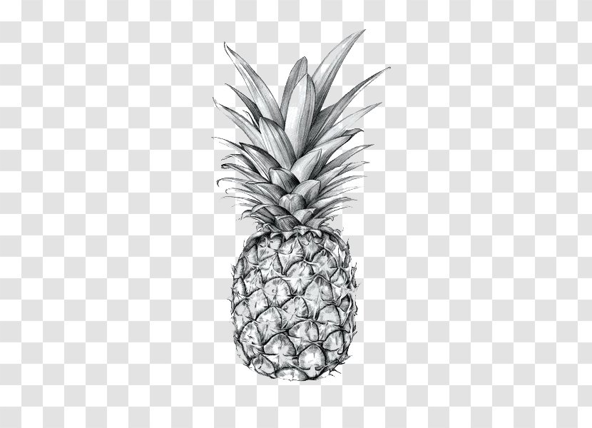 Pineapple Drawing Art Printmaking Sketch - Plant Transparent PNG