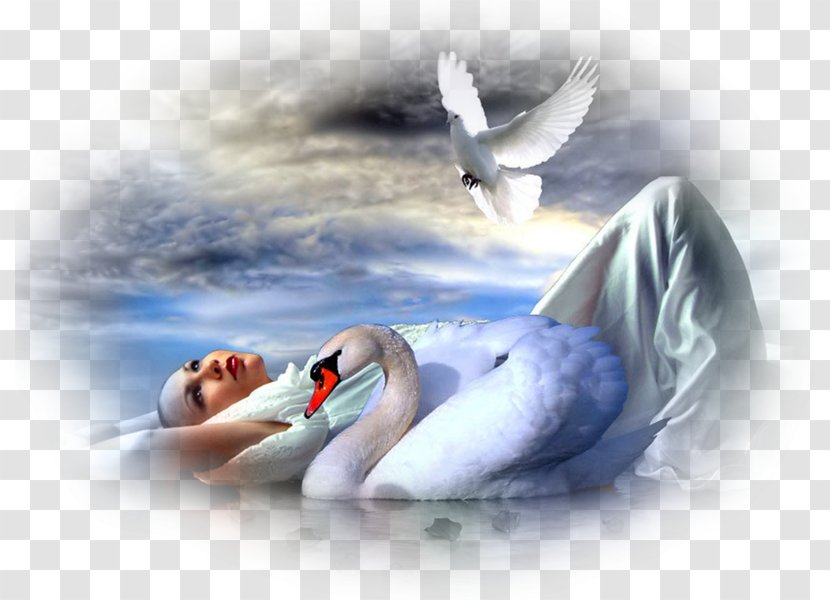 Photo Manipulation Photography - Art - Swans Transparent PNG