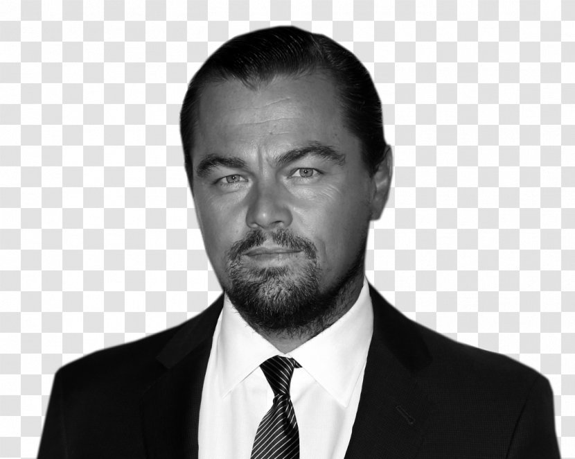Leonardo DiCaprio Hollywood The Wolf Of Wall Street Actor Film Producer - Facial Hair - Dicaprio Transparent PNG