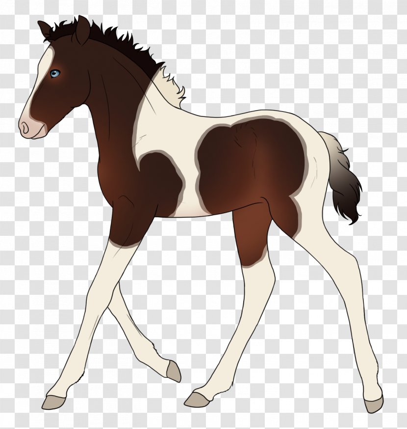 Foal Mustang Stallion Colt Mare Transparent PNG