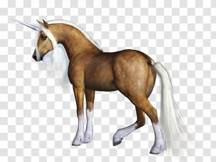 Unicorn - Pony - Horse Transparent PNG