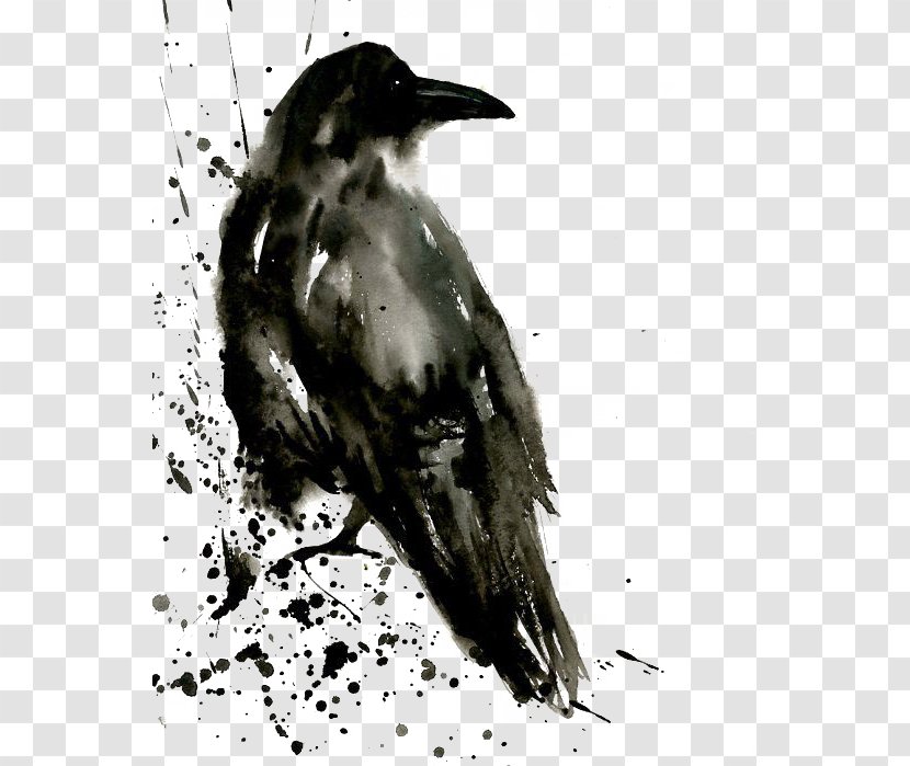 Common Raven Watercolor Painting Tattoo The Shining Isle - Art - Crow Transparent PNG