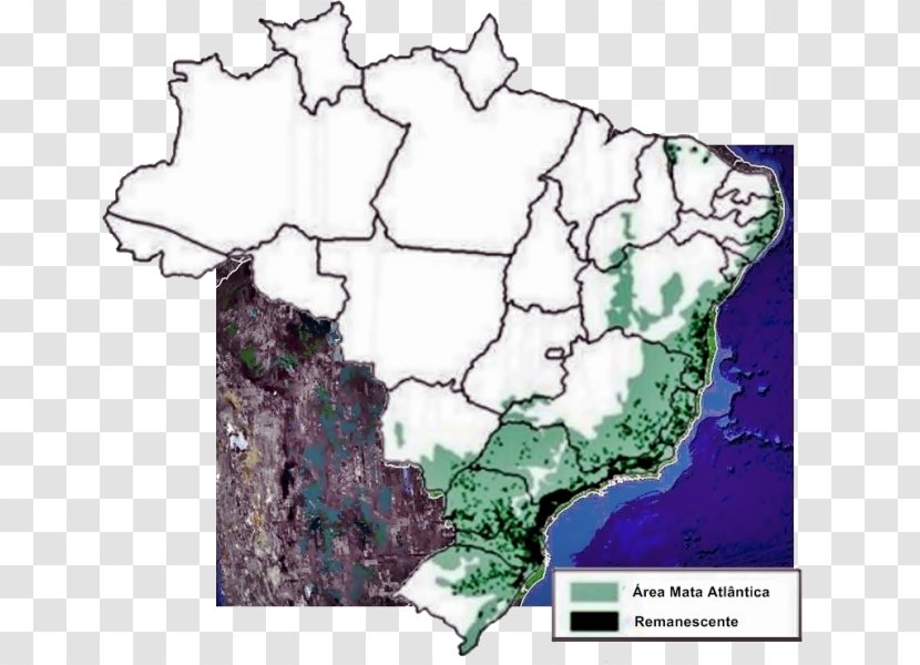 Atlantic Forest Map Southeast Region, Brazil Wildlife Corridor Northeast - Federative Unit Of Transparent PNG