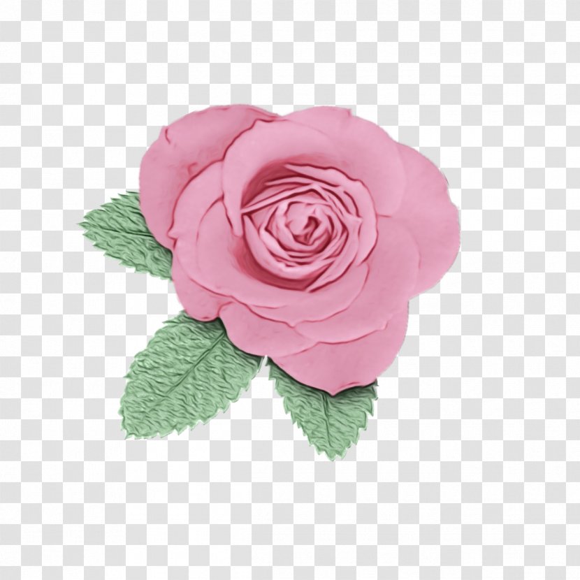 Garden Roses - Paint - Cut Flowers Plant Transparent PNG