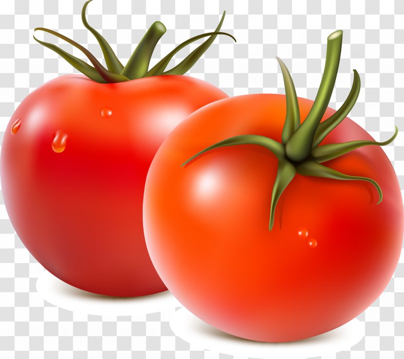 Fruit Salad Vegetable Tomato - Potato And Genus - Red,tomato Transparent PNG