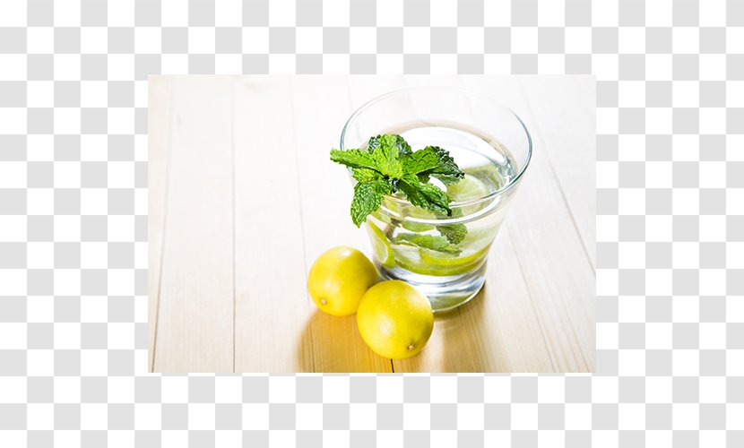 Mojito Lemonade Limeade Limonana - Drink - Mint Leaf Transparent PNG