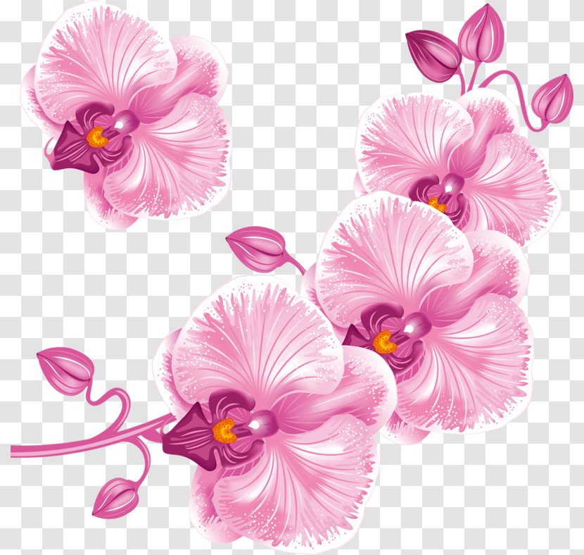 Moth Orchids Clip Art - Hibiscus - Pink Transparent PNG