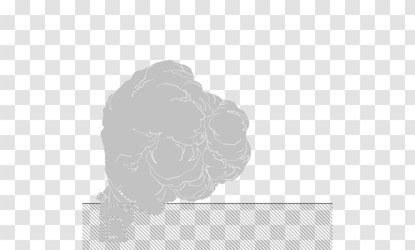 White Pattern - Stage Effect Transparent PNG