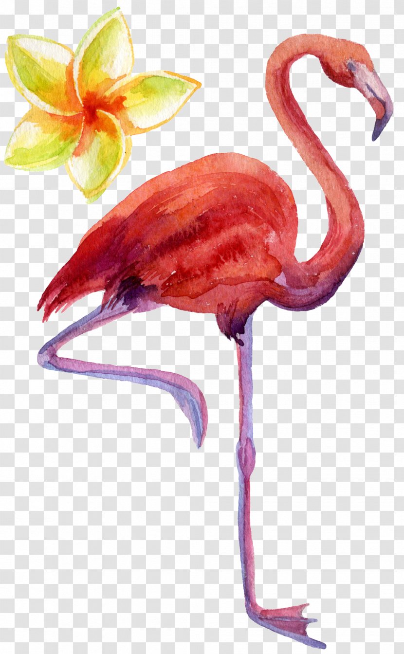 Bird Flamingo Textile - Poster Transparent PNG