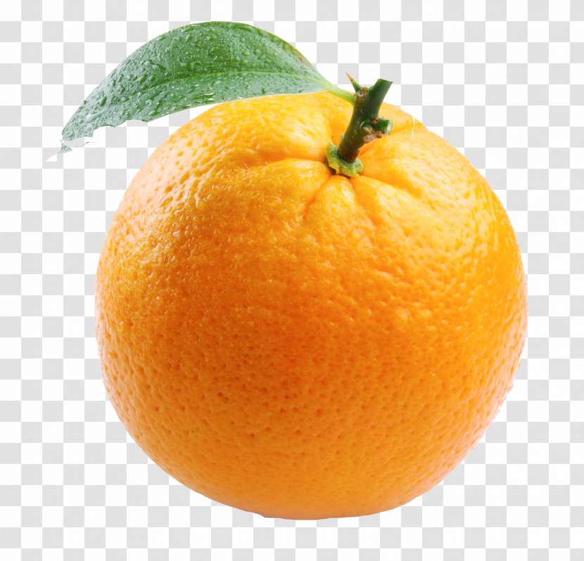 Orange Juice Mimosa Nagpur - Peel - Free Image Transparent PNG