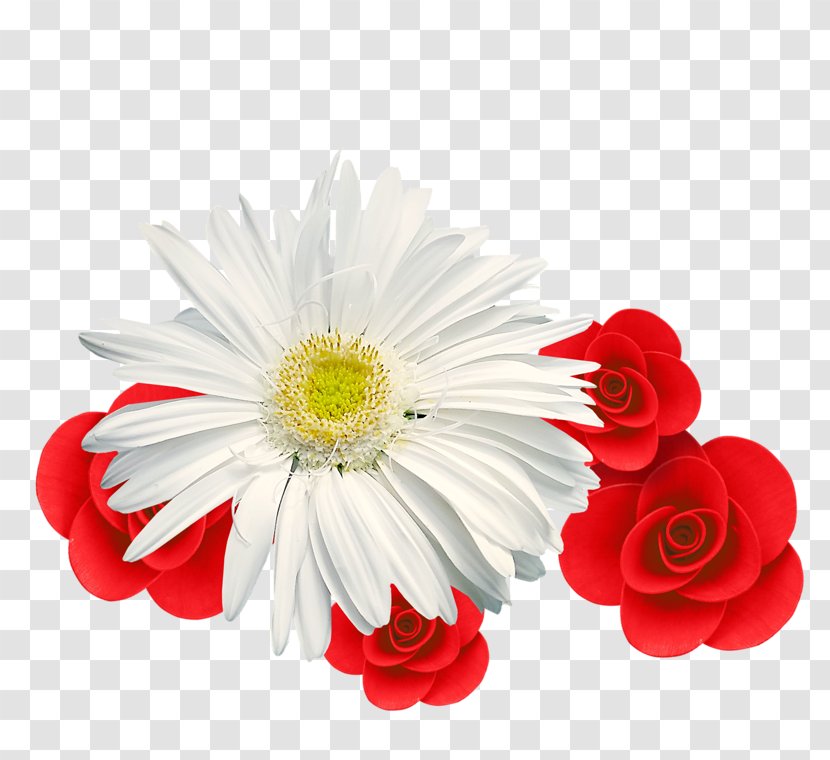 Chrysanthemum Tea White - Rose Transparent PNG