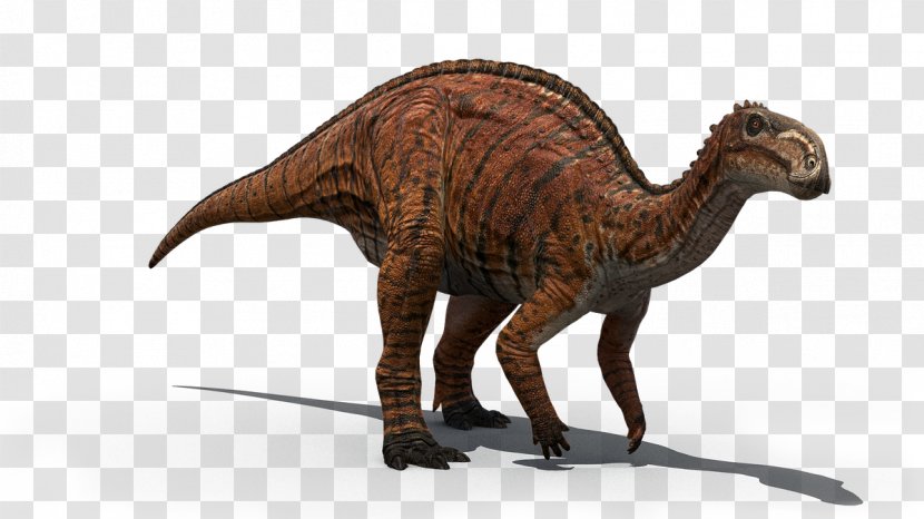 Tyrannosaurus Dinosaur Velociraptor QUT Stegosaurus - Australia Transparent PNG