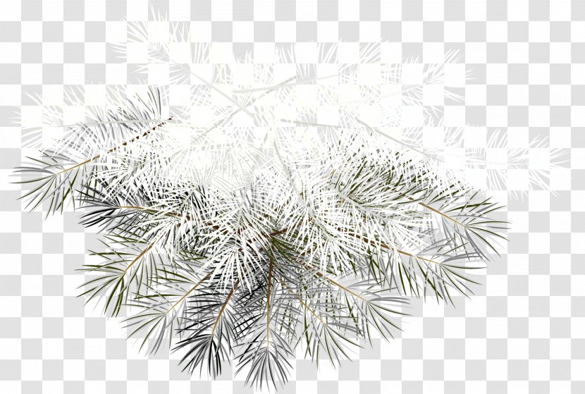Christmas Ornament Clip Art - Fir - Frost Transparent PNG