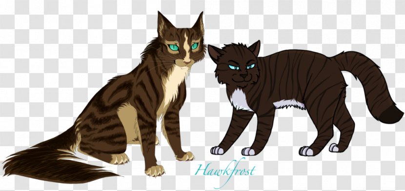Whiskers Cat Warriors Hawkfrost Dovewing - Kitten - Forest Top View Transparent PNG