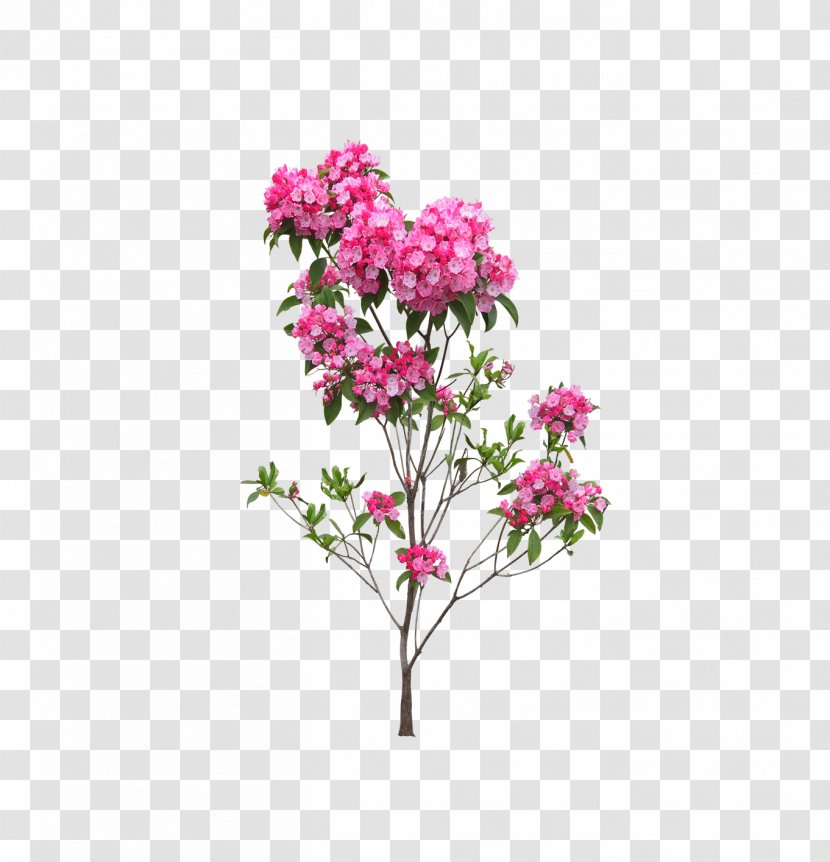 Flower - Verbena - Landscape Flowers And Trees Transparent PNG