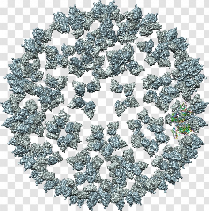Clip Art Mosaic Virus Computer Software - Human Papilloma Transparent PNG