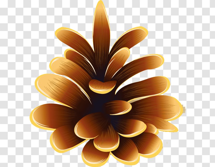 Sunflower M - Flower - Fall Season Transparent PNG