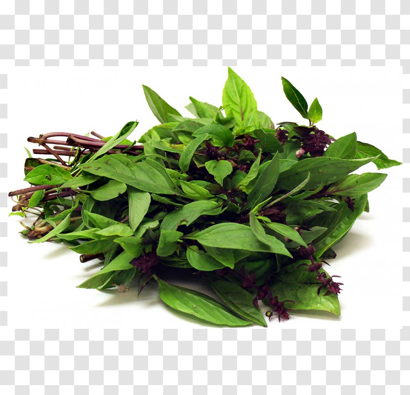 Seed Ball Herb Basil Vegetable - Cuisine Transparent PNG