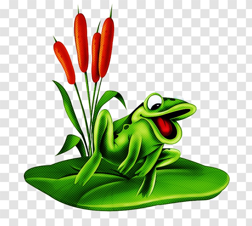 Frog Cartoon - Flower - Anthurium Chili Pepper Transparent PNG