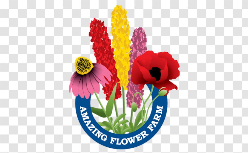 Floral Design Amazing Flower Farm Cut Flowers - Floristry Transparent PNG