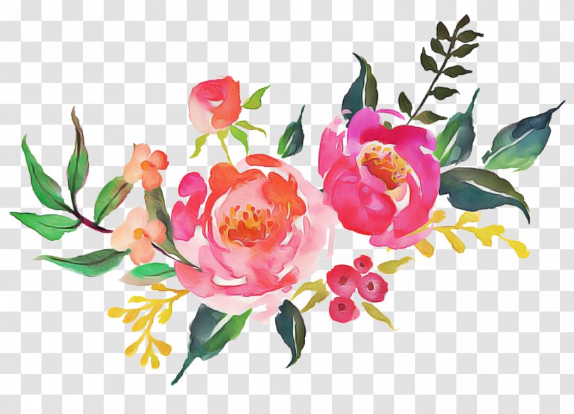 Watercolor Pink Flowers - Peony - Rosa Gallica Camellia Transparent PNG