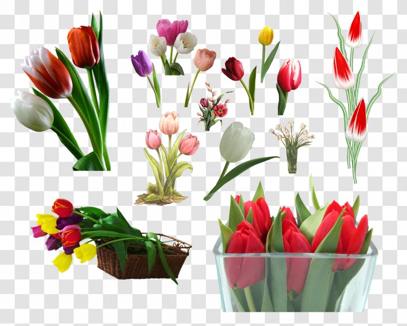 Tulip Cut Flowers Flower Bouquet Clip Art - Floral Design Transparent PNG