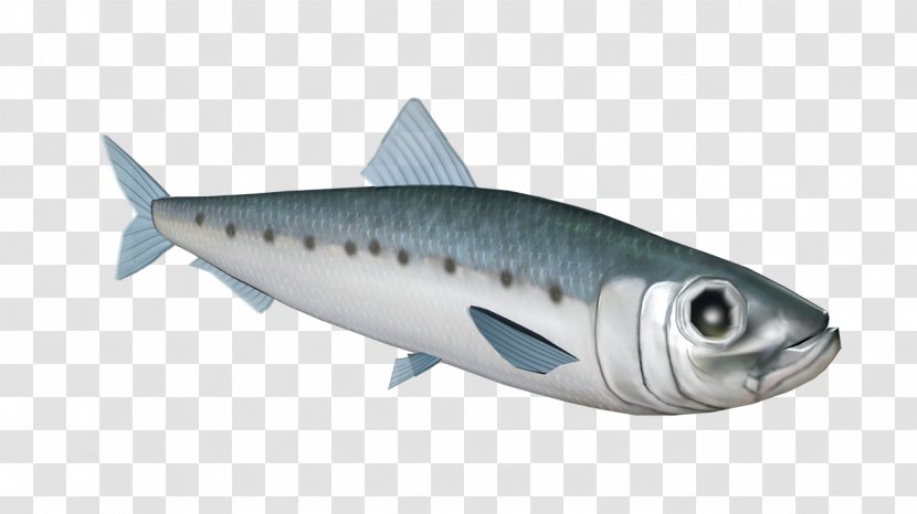 Sardine Mackerel Yellow-lipped Sea Krait Oily Fish Marine Biology - Organism - Coral Reef Transparent PNG