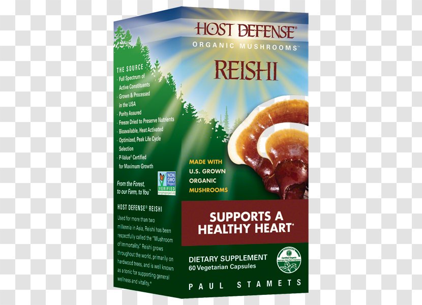Dietary Supplement Vegetarian Cuisine Hericium Erinaceus Edible Mushroom Hen-of-the-wood - Superfood - Reishi Transparent PNG