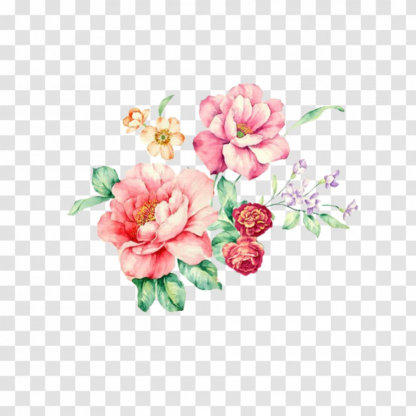 Rosa Chinensis Flower Plant Floral Design Pattern - Flowering - Cartoon Rose Transparent PNG