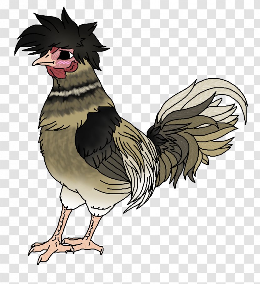 Chicken Bird Phasianidae Fowl Poultry - Rooster Transparent PNG