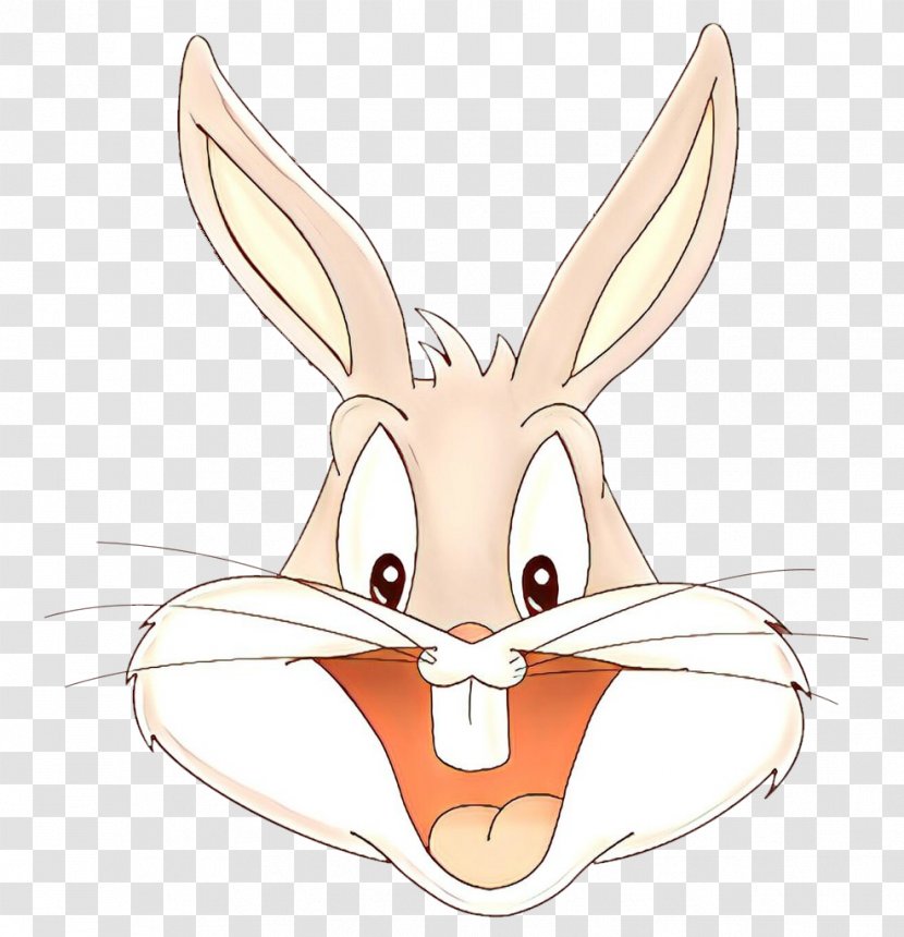 Domestic Rabbit Hare Easter Bunny Whiskers - Ear Transparent PNG