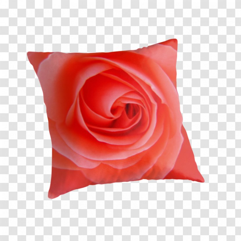 Garden Roses Throw Pillows Cushion Cut Flowers - Pillow Transparent PNG
