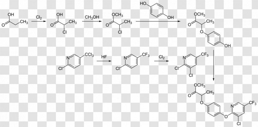 Biomolecule Phytochemistry Proteasome Small Molecule - Flower - Synthesis Transparent PNG