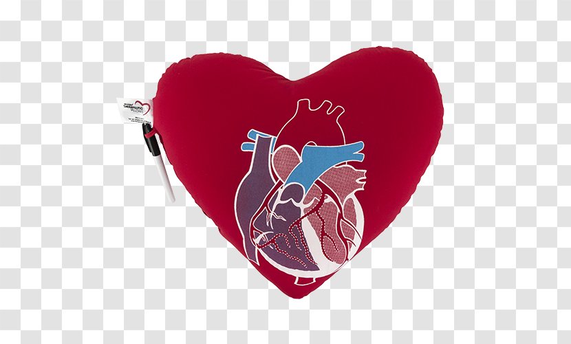 Heart Pillow Cushion Cardiothoracic Surgery - Cartoon Transparent PNG