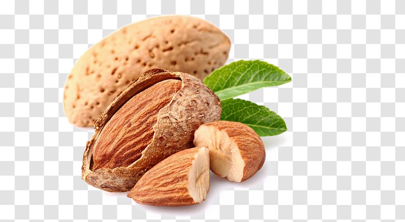 Nut Cashew Almond Dried Fruit Food - Peel Transparent PNG
