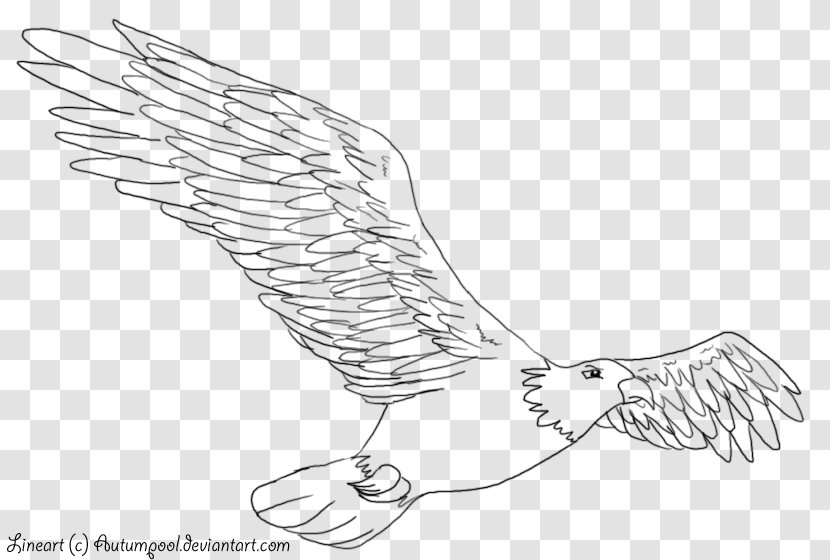 Line Art Drawing Birds Eagle - Watercolor - Akita Dog Transparent PNG