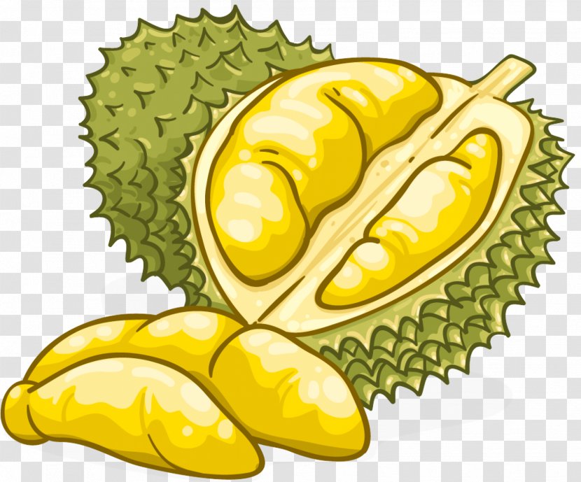 Fruit Durian Starfruit Plant Natural Foods - Artocarpus Transparent PNG