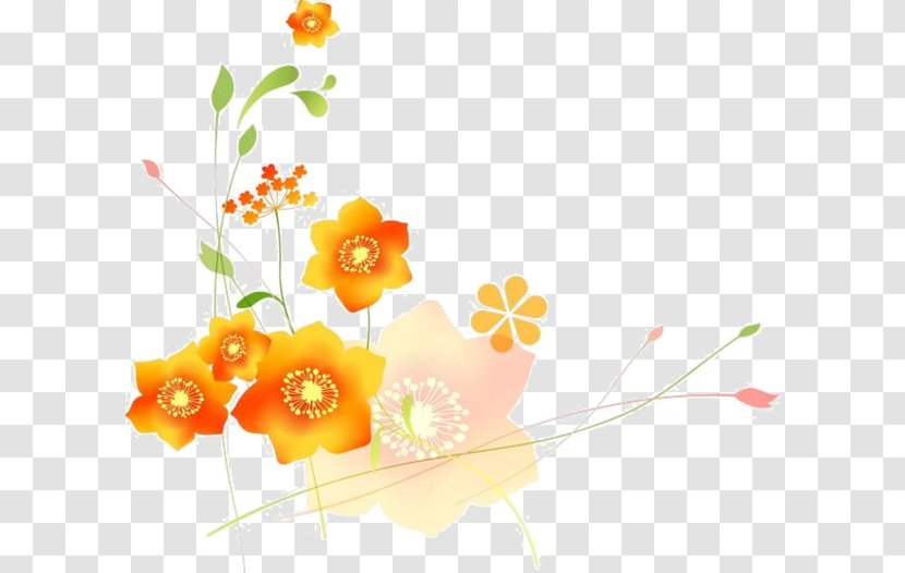 Floral Design Picture Frames - Ornament - Flower Transparent PNG