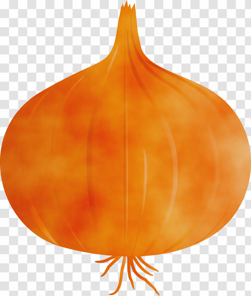 Pumpkin Transparent PNG