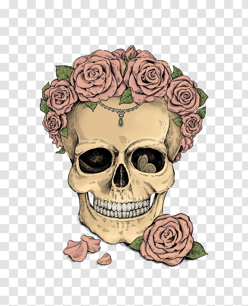Floral Design Illustration Skull Drawing Stock Photography - Rose Family Transparent PNG