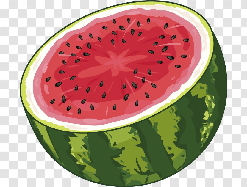 Watermelon Juice Fruit Food - Vector Sectional View Transparent PNG