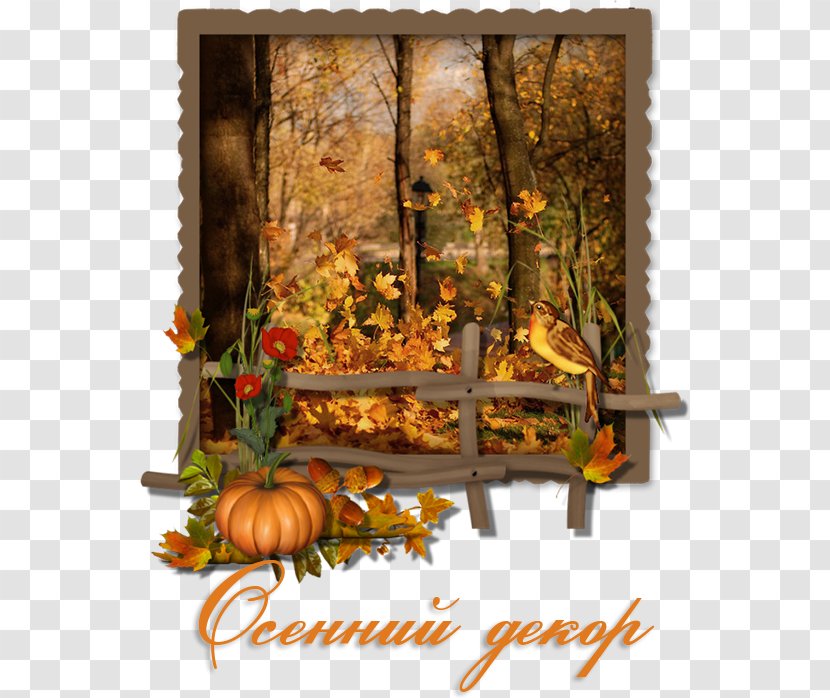 Autumn Leaves Leaf Pura Paisagem - Flower Transparent PNG