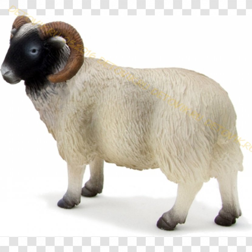 Scottish Blackface Merino Cattle Farm Toy - Sheep Transparent PNG