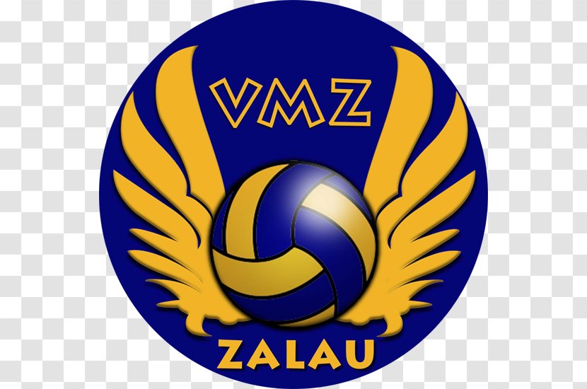 VM Zalău CS Arcada Galați Tricolorul LMV Ploiești Volleyball - Baia Mare Transparent PNG