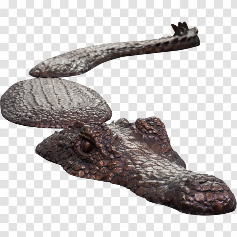 Reptile Shoe Footwear - Crocodile Transparent PNG
