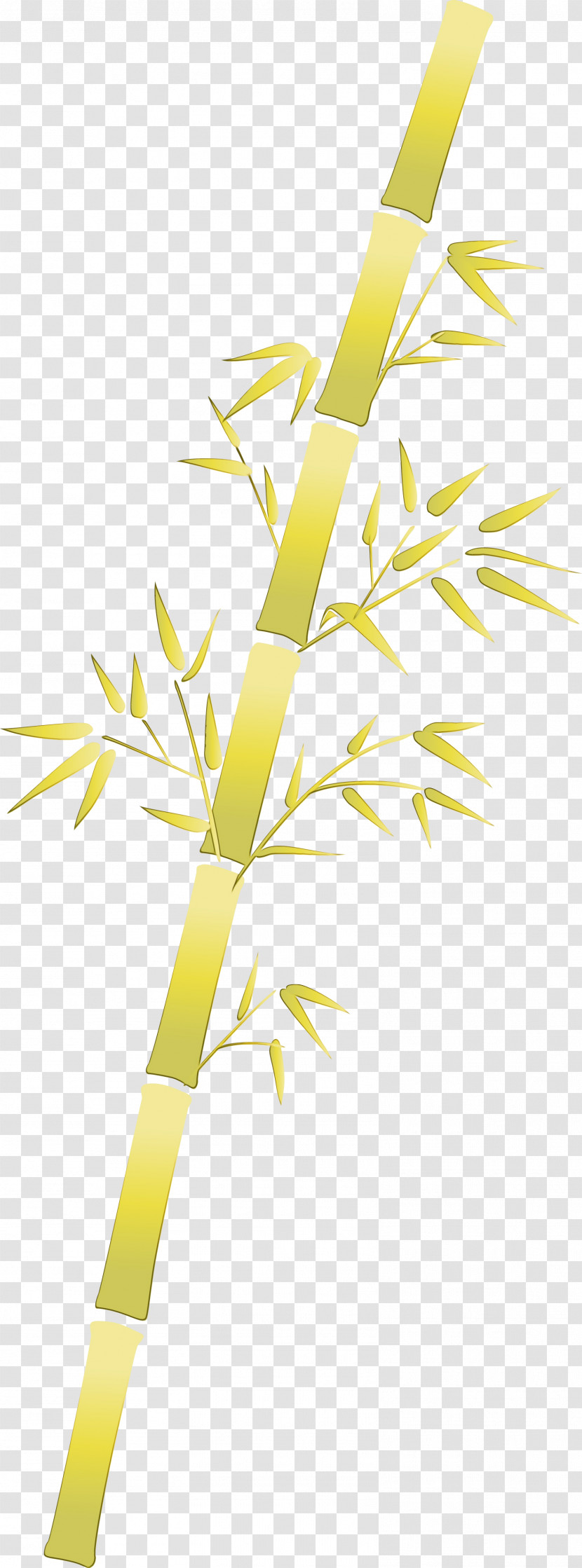 Yellow Leaf Line Branch Plant Transparent PNG