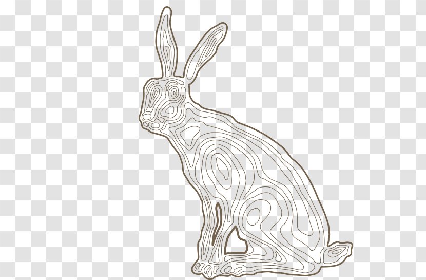 Domestic Rabbit Hare Line Art Dog Drawing Transparent PNG